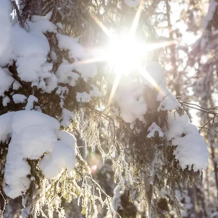 Happy Fox 3* Rovaniemi