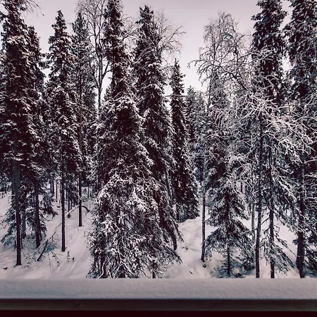 Happy Fox 3* Rovaniemi
