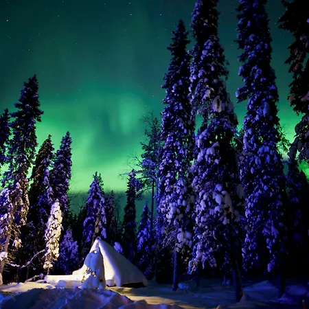 Happy Fox 3* Rovaniemi