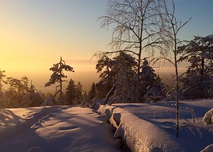 מלון דירות Happy Fox