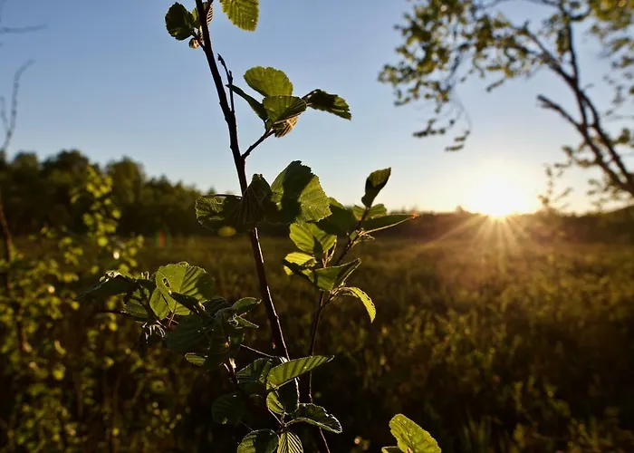 מלון דירות Happy Fox 3*